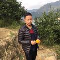 游来的鱼49095333头像