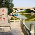成熟柳叶5k头像