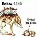 万里行云junan头像