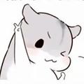 杨二田2头像
