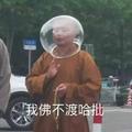 时不知归755头像