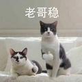 冷青年头像