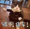 南城北往c头像