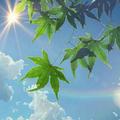清爽星空Cn头像