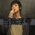 轮回灬残念彡 · 奥迪Q3车主·车龄2年头像