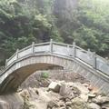 优雅的小王头像