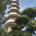 唐氏家族168头像