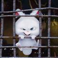 一个多么哇塞滴小伙儿头像