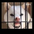 别闹172884479头像