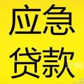 W2018头像