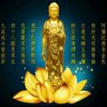 星辰雨19头像