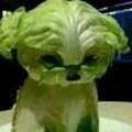 卡卡64003866头像