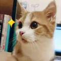 From8176160223头像