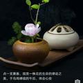 万利坐看云起头像