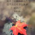 阳超10 · 宋Pro DM车主·车龄1年头像
