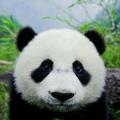 用户17951220718头像