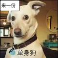 朴实艺术家QZ头像