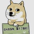非凡梦想alr头像