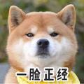 造宇的人头像