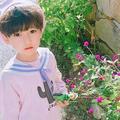 熊猫宝宝190427649头像