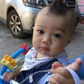 肥羊187809630头像
