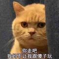 啊咿呀咿呀咿呀咿呀头像