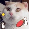 尊敬高大威猛的用户头像