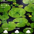 我的世界只允许你放肆1头像