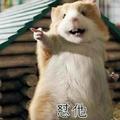 小宇的茹姐头像