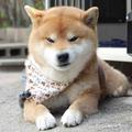起名太难了555头像