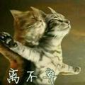 胡立功3头像