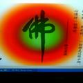 柏树199333184头像