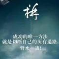 风雨人生2015352头像