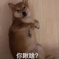骑着wo牛上高速头像