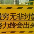 踩着西瓜皮不走寻常路207250582头像