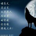 韩太狼自助烧烤头像