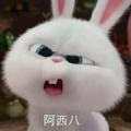 silence金贝贝儿童摄影头像