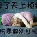 淘淘乐44头像