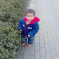 亲爱的宝贝小田妈妈想您了头像