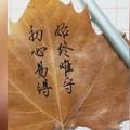 用户3870355149906头像