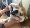 村里都喊俺狗剩头像