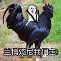 小马同志96642466头像