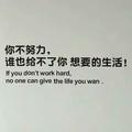 ShaneHe头像