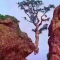 老汉209341493头像