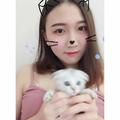 猫猫猫猫哥头像