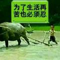 顶级溪水ey头像