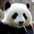 潇洒人生1fg9头像