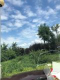 一段内心纯洁的DVD头像