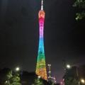 charlizesung头像