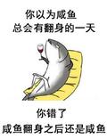 王者丶林哥头像